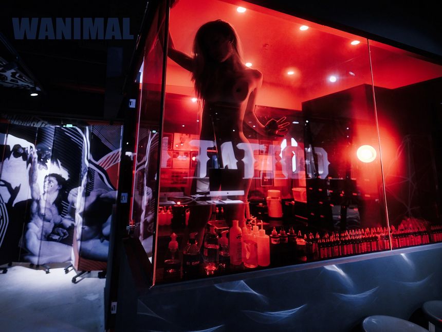 WANIMAL官方出品2019年7月无圣光套图（二）[63P]