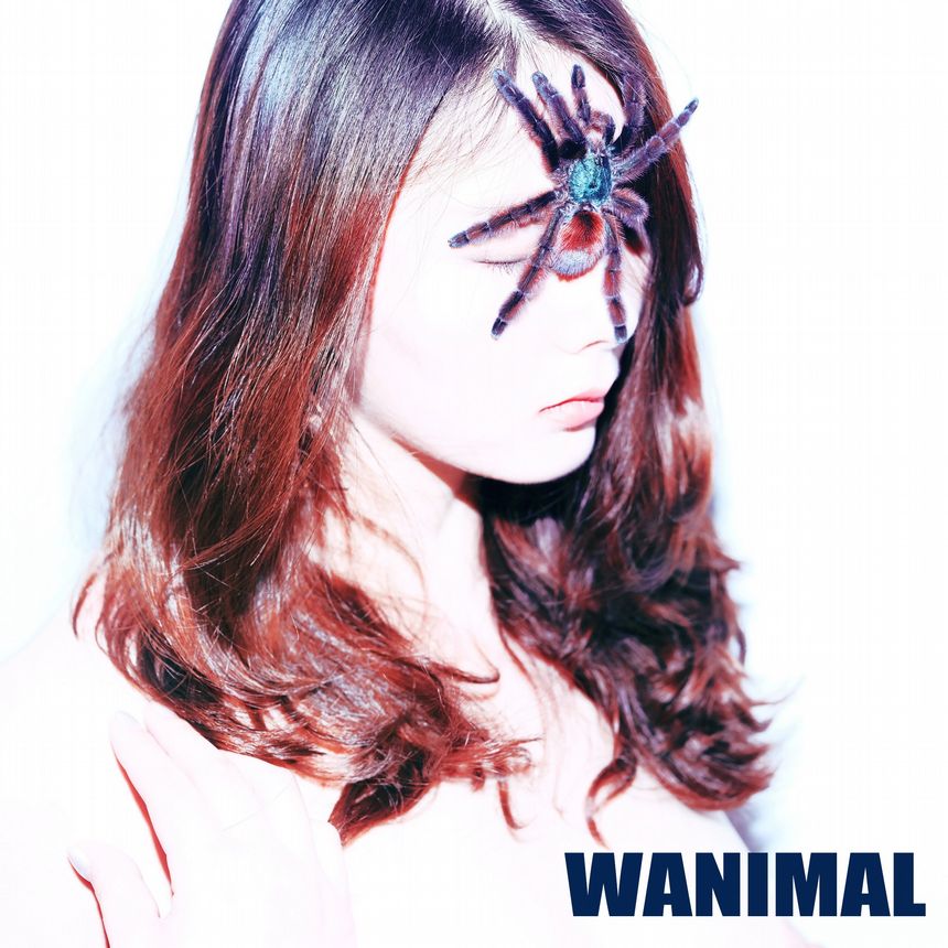 WANIMAL官方出品2019年7月无圣光套图（二）[63P]