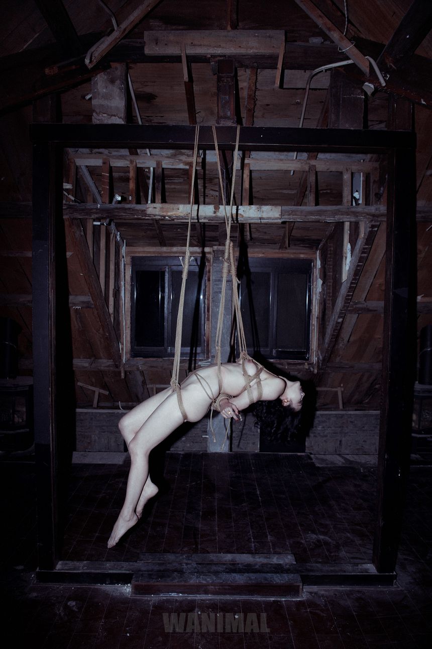 WANIMAL官方出品2月SM无圣光套图[150P]