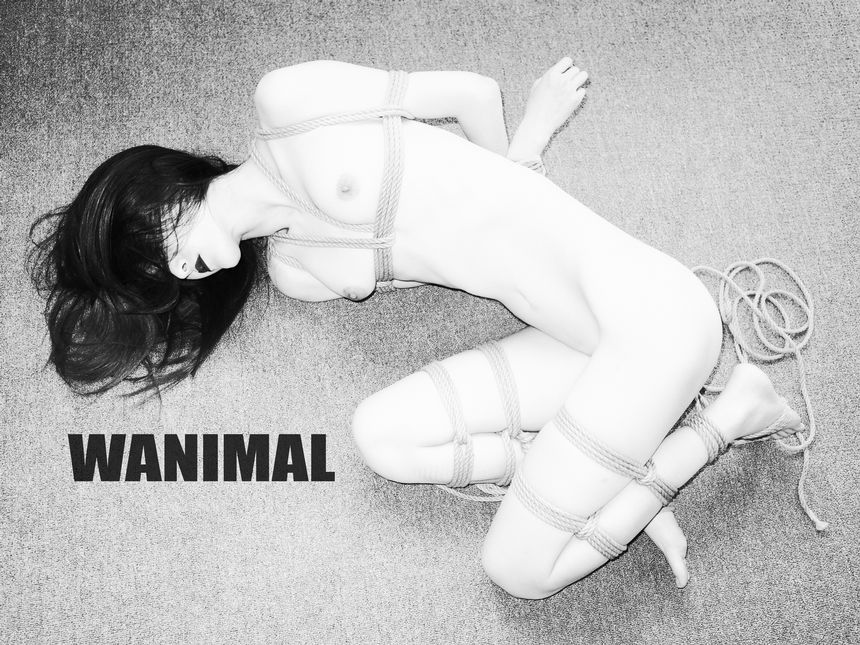 WANIMAL官方出品3月SM无圣光套图[172P]