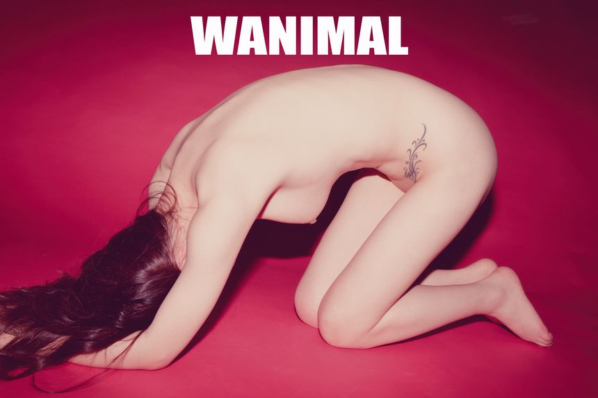 WANIMAL官方出品5月VIP无圣光套图[160P]