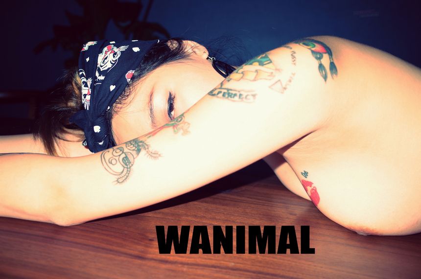 WANIMAL官方出品5月VIP无圣光套图[160P]