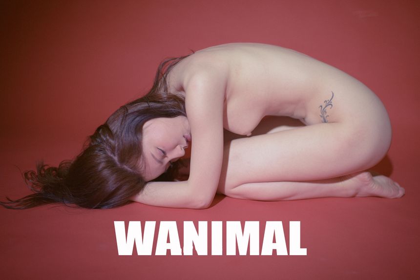 WANIMAL官方出品5月VIP无圣光套图[160P]