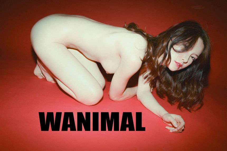 WANIMAL官方出品5月VIP无圣光套图[160P]