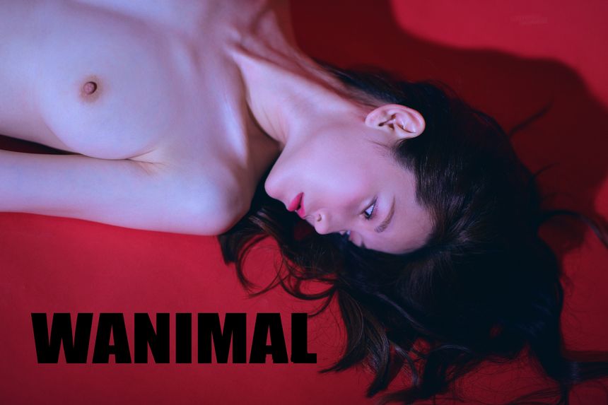 WANIMAL官方出品5月VIP无圣光套图[160P]