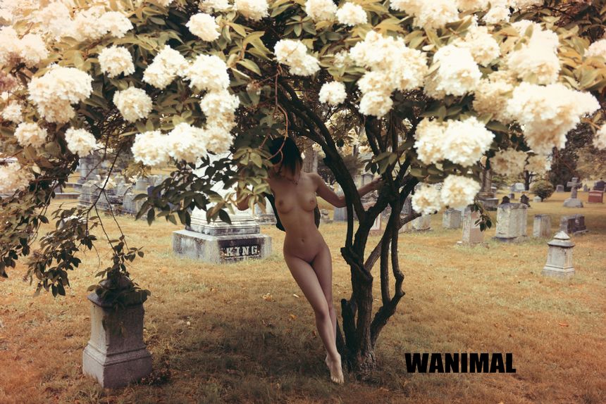WANIMAL官方出品VIP吹泡泡极度诱惑无圣光套图[89P]