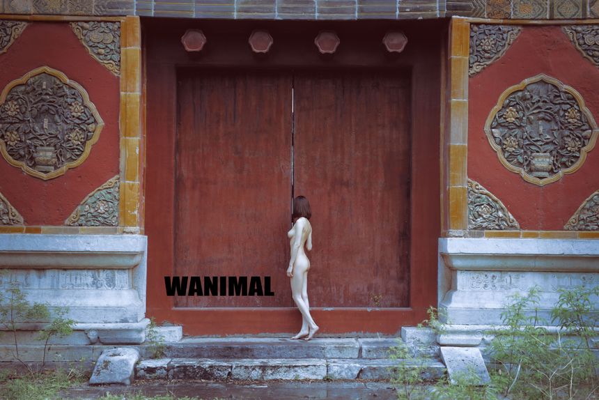 WANIMAL官方出品VIP吹泡泡极度诱惑无圣光套图[89P]