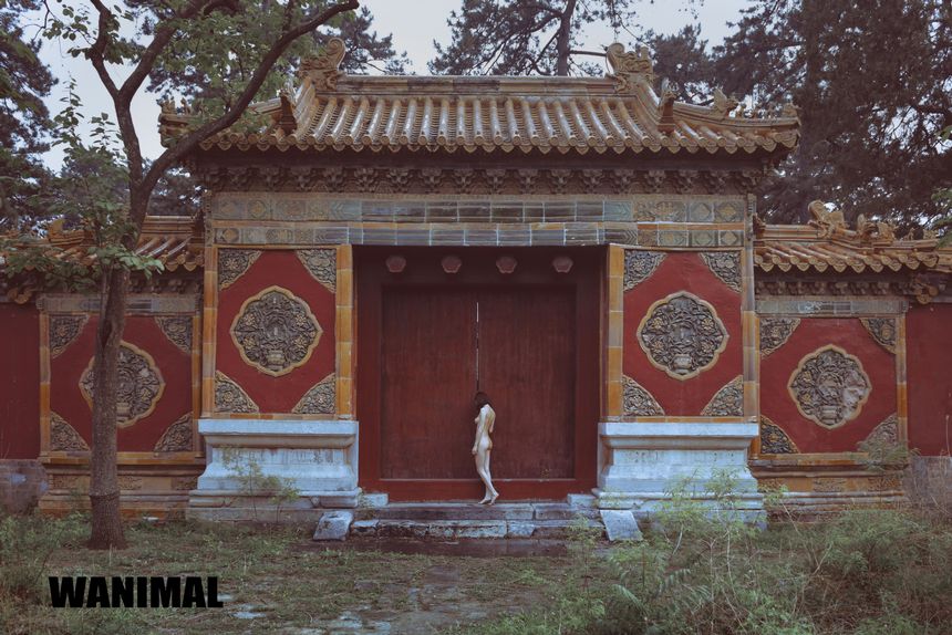 WANIMAL官方出品VIP吹泡泡极度诱惑无圣光套图[89P]