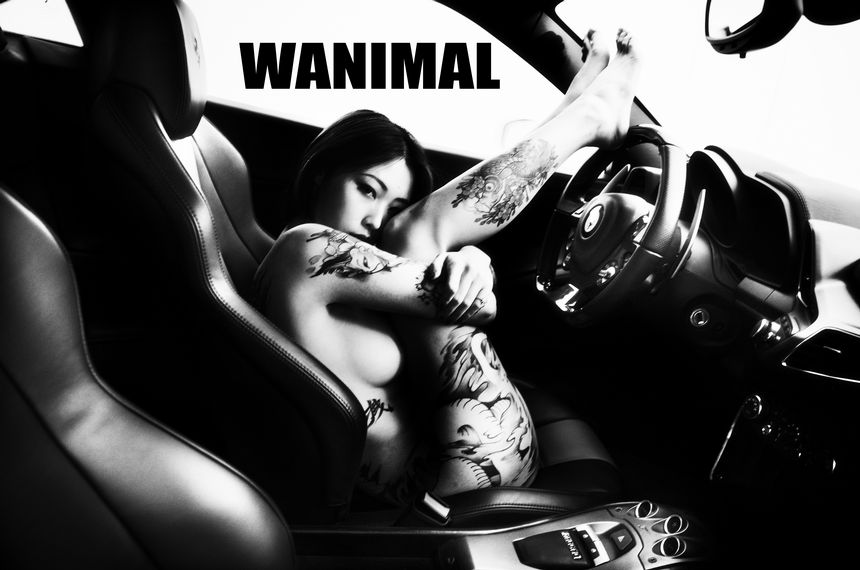 WANIMAL官方出品法拉利女孩VIP无圣光套图（下）[70P]
