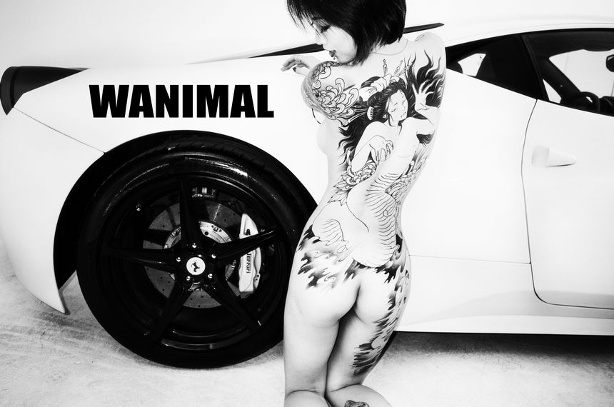 WANIMAL官方出品法拉利女孩VIP无圣光套图（下）[70P]