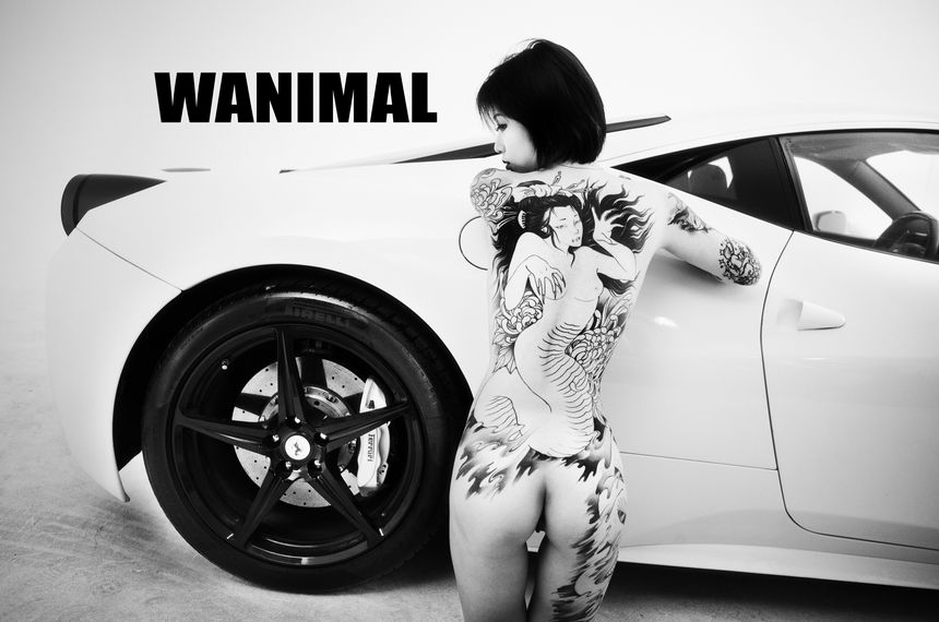 WANIMAL官方出品法拉利女孩VIP无圣光套图（下）[70P]