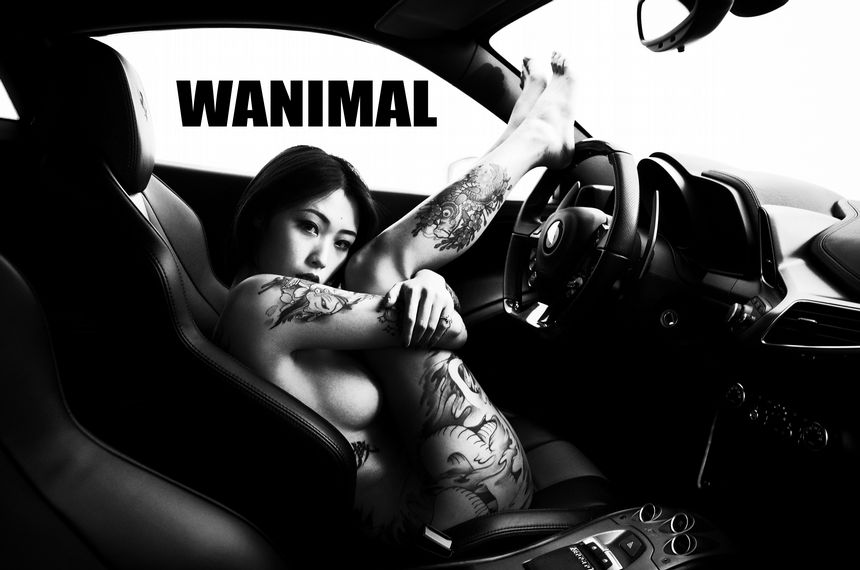 WANIMAL官方出品法拉利女孩VIP无圣光套图（下）[70P]