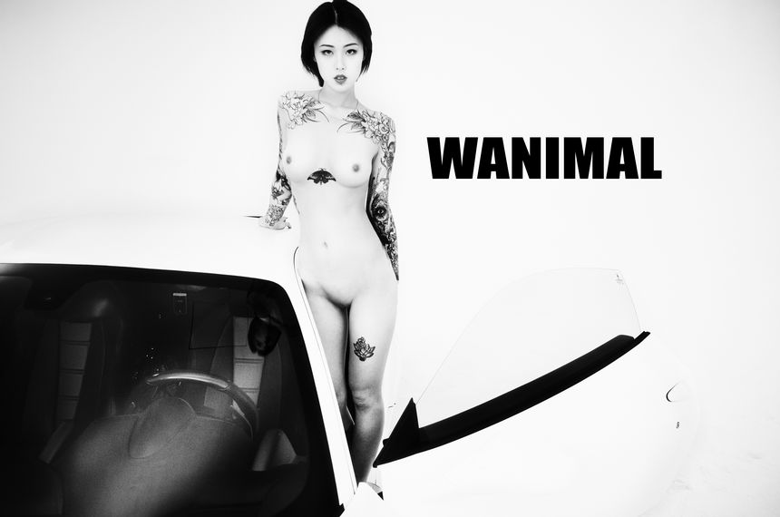 WANIMAL官方出品法拉利女孩VIP无圣光套图（下）[70P]
