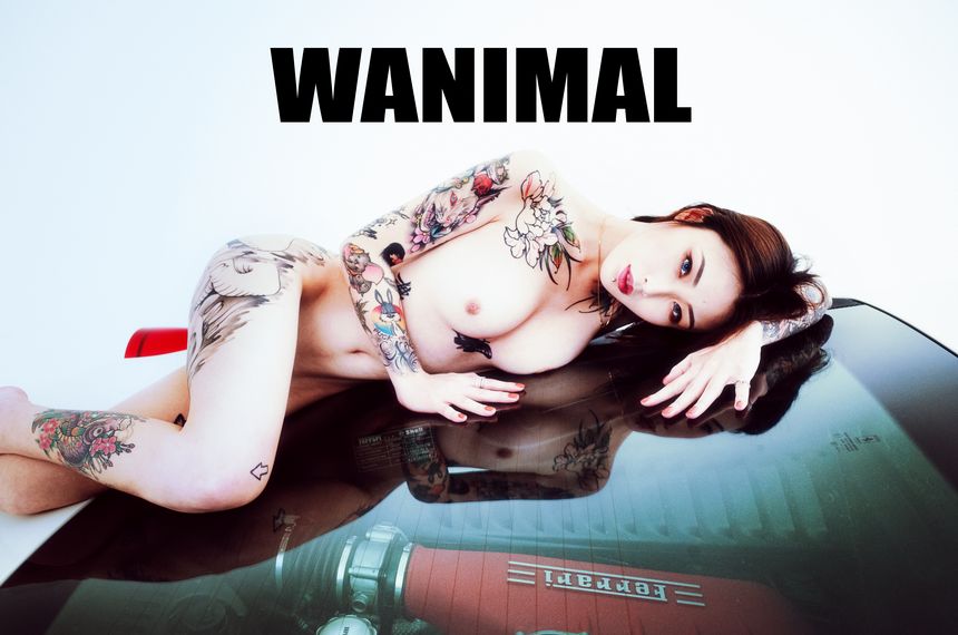 WANIMAL官方出品法拉利女孩VIP无圣光套图（下）[70P]