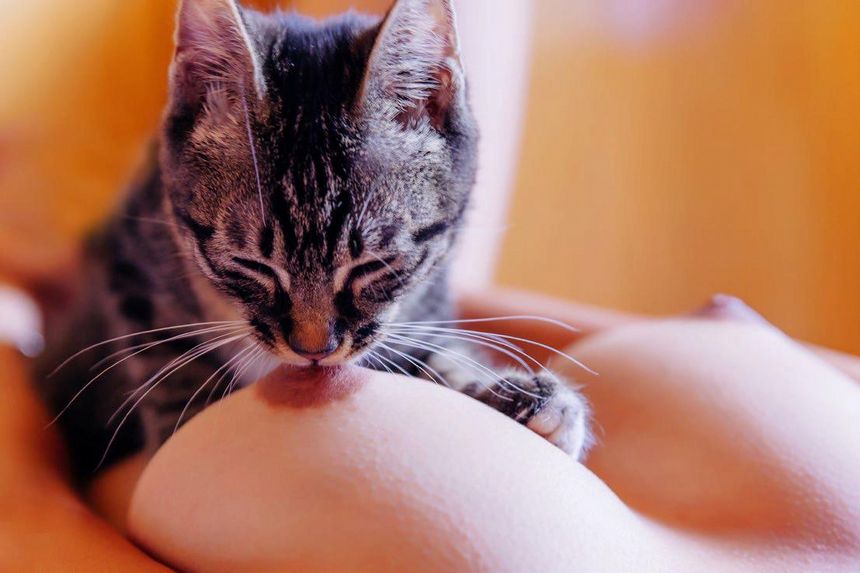 《潘多拉》一本专门解密私房的杂志No3期无圣光套图[90P]