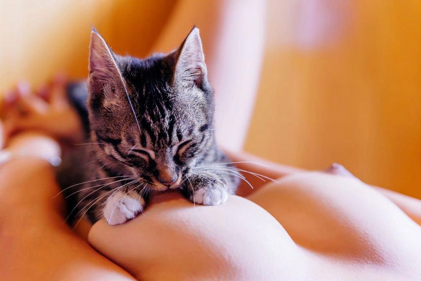 《潘多拉》一本专门解密私房的杂志No3期无圣光套图[90P]