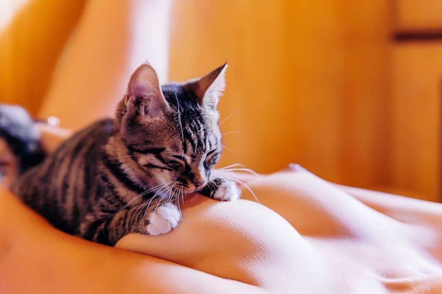 《潘多拉》一本专门解密私房的杂志No3期无圣光套图[90P]