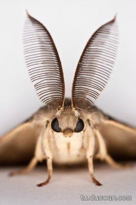 【内涵销魂图】又一波妹纸来袭，开车姿势太销魂了！