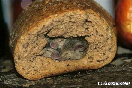 【内涵销魂图】又一波妹纸来袭，开车姿势太销魂了！