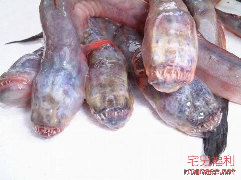 【内涵销魂图】又一波妹纸来袭，开车姿势太销魂了！