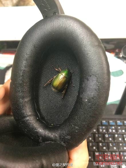 【内涵销魂图】又一波妹纸来袭，开车姿势太销魂了！