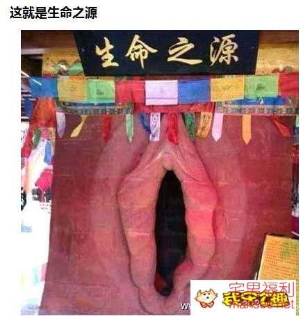 一大波内涵图扑来。再次刷新你的三观，无节操图片