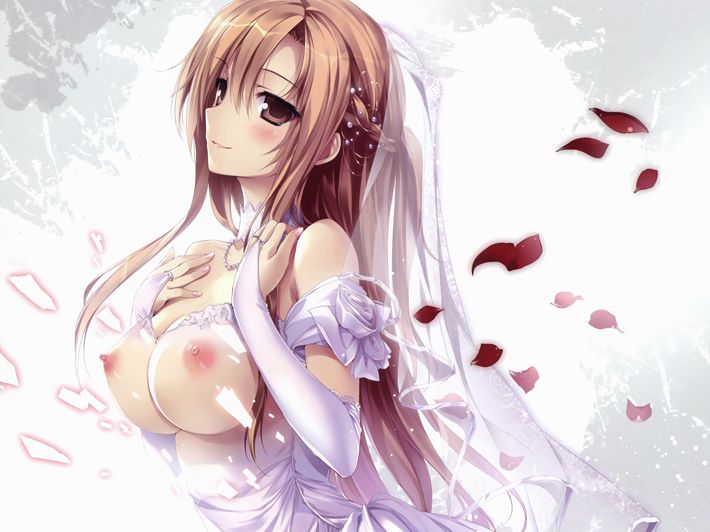 全彩H动漫精品无圣光套图（四）[100P]