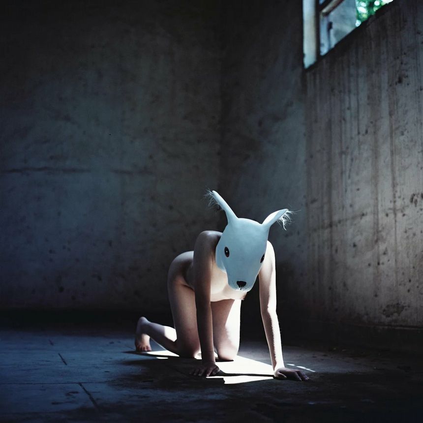 微博红人喵酱是hentai无圣光套图[48P]