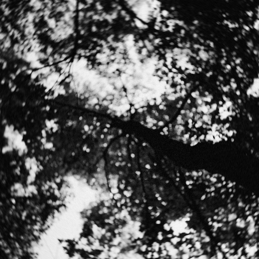 微博红人喵酱是hentai无圣光套图[48P]