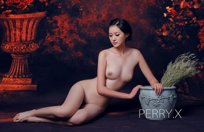 摄影师PERRY.X作品无圣光精品合辑[164P]