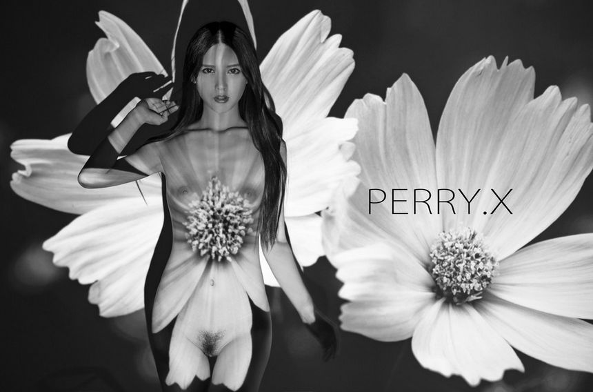 摄影师PERRY.X作品无圣光精品合辑[164P]