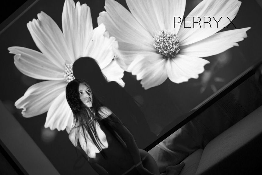 摄影师PERRY.X作品无圣光精品合辑[164P]
