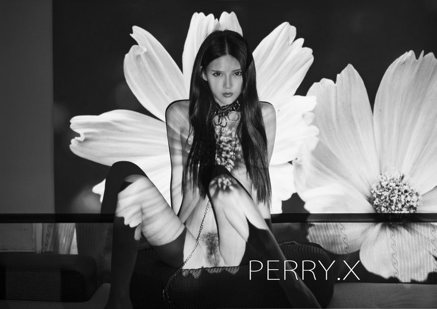 摄影师PERRY.X作品无圣光精品合辑[164P]