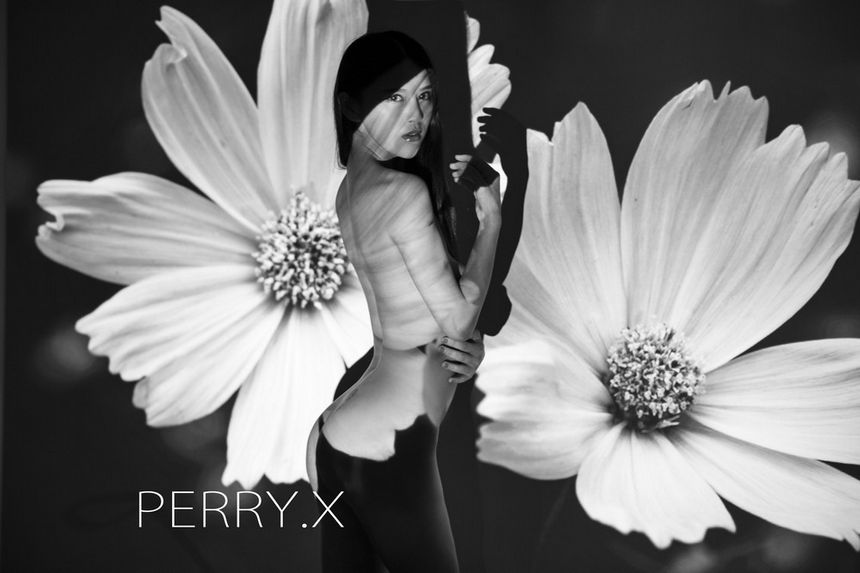 摄影师PERRY.X作品无圣光精品合辑[164P]