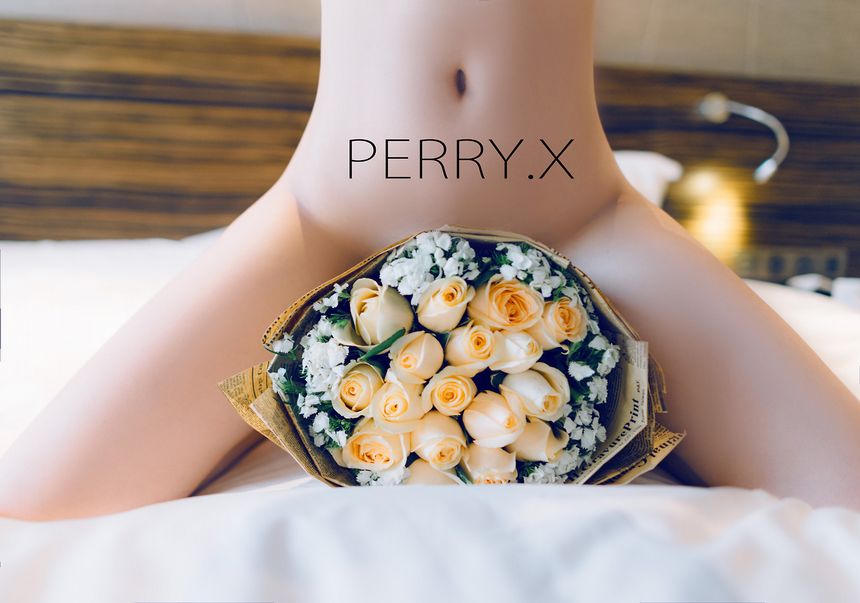 摄影师PERRY.X作品无圣光精品合辑[164P]