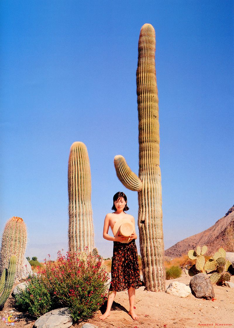 极品女神杨思敏春光私语系列无圣光套图[64P]