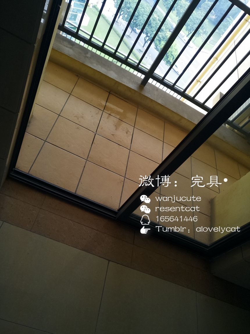 极品微博红人完具少女最新无圣光套图[52P]