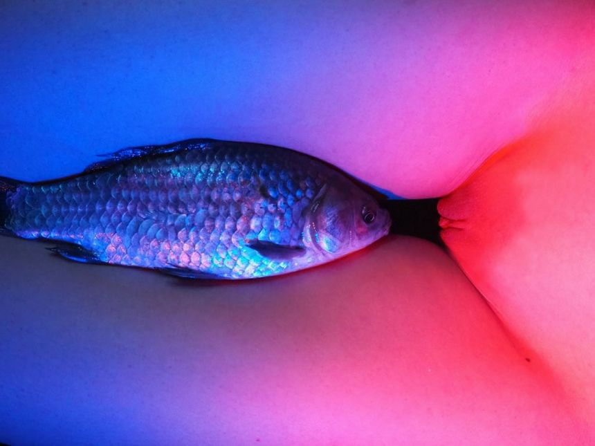 极品网络红人Feliciahan言言言叶无圣光套图[96P]