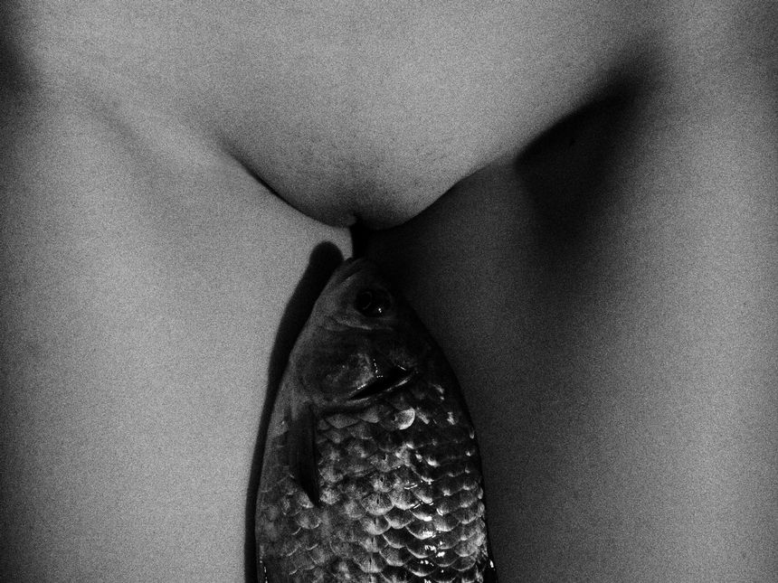 极品网络红人Feliciahan言言言叶无圣光套图[96P]