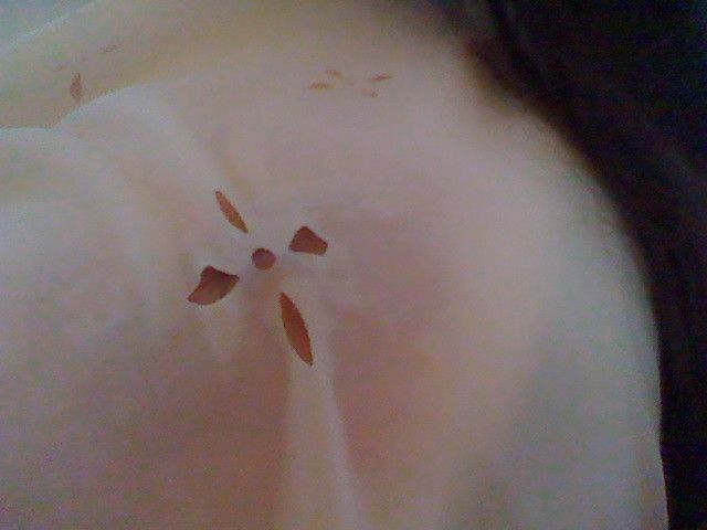 极品网络红人欲猫儿私拍无圣光套图[73P]