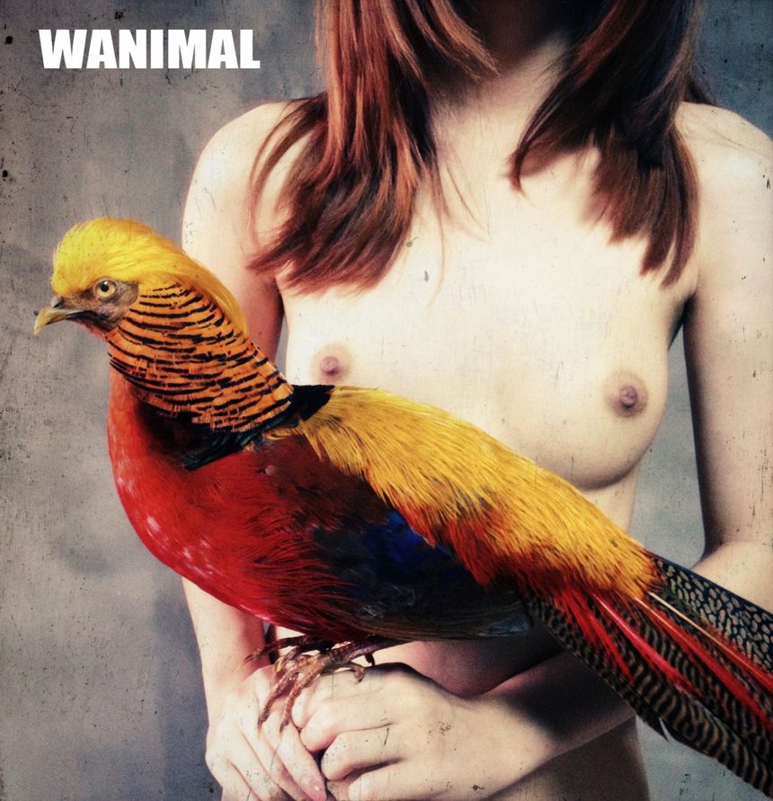 目前收集到的王动wanimal最全人体艺术套图合集下载