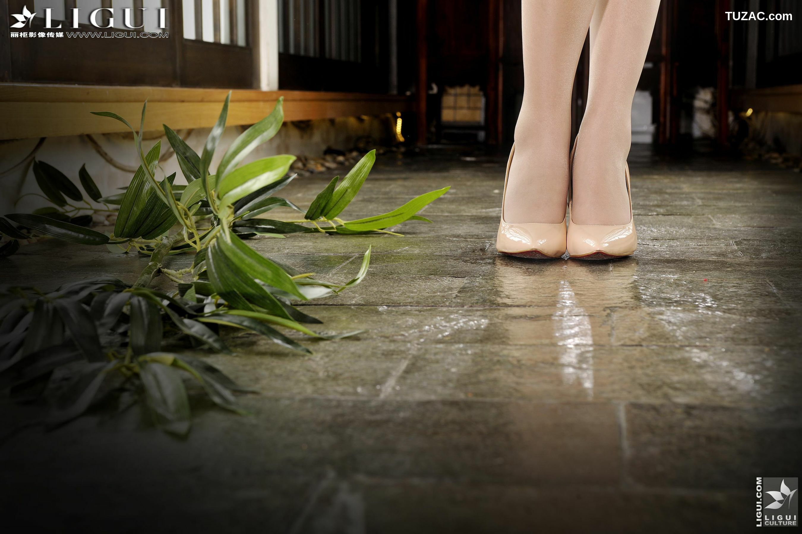 丽柜_ Model Amily《民国旗袍丝足》上下全集 美腿玉足写真图片[70P]