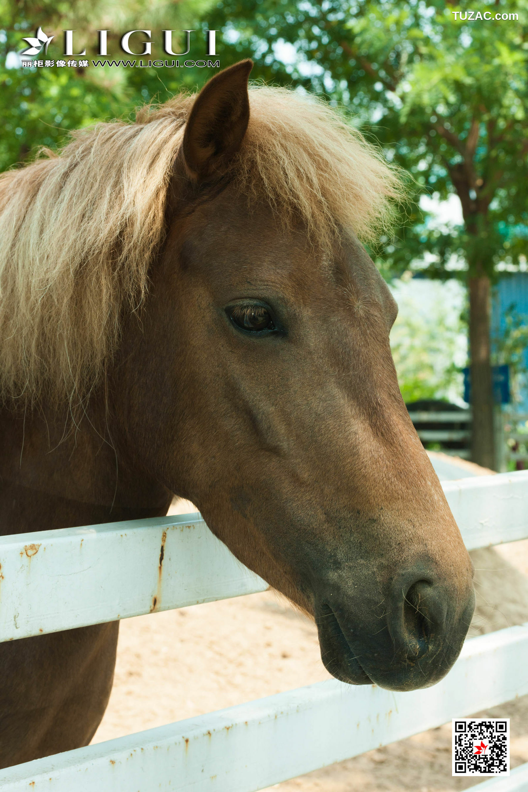 丽柜_ Model 甜甜&amp;amp;安娜 - 双生牛仔丝袜女郎[42P]