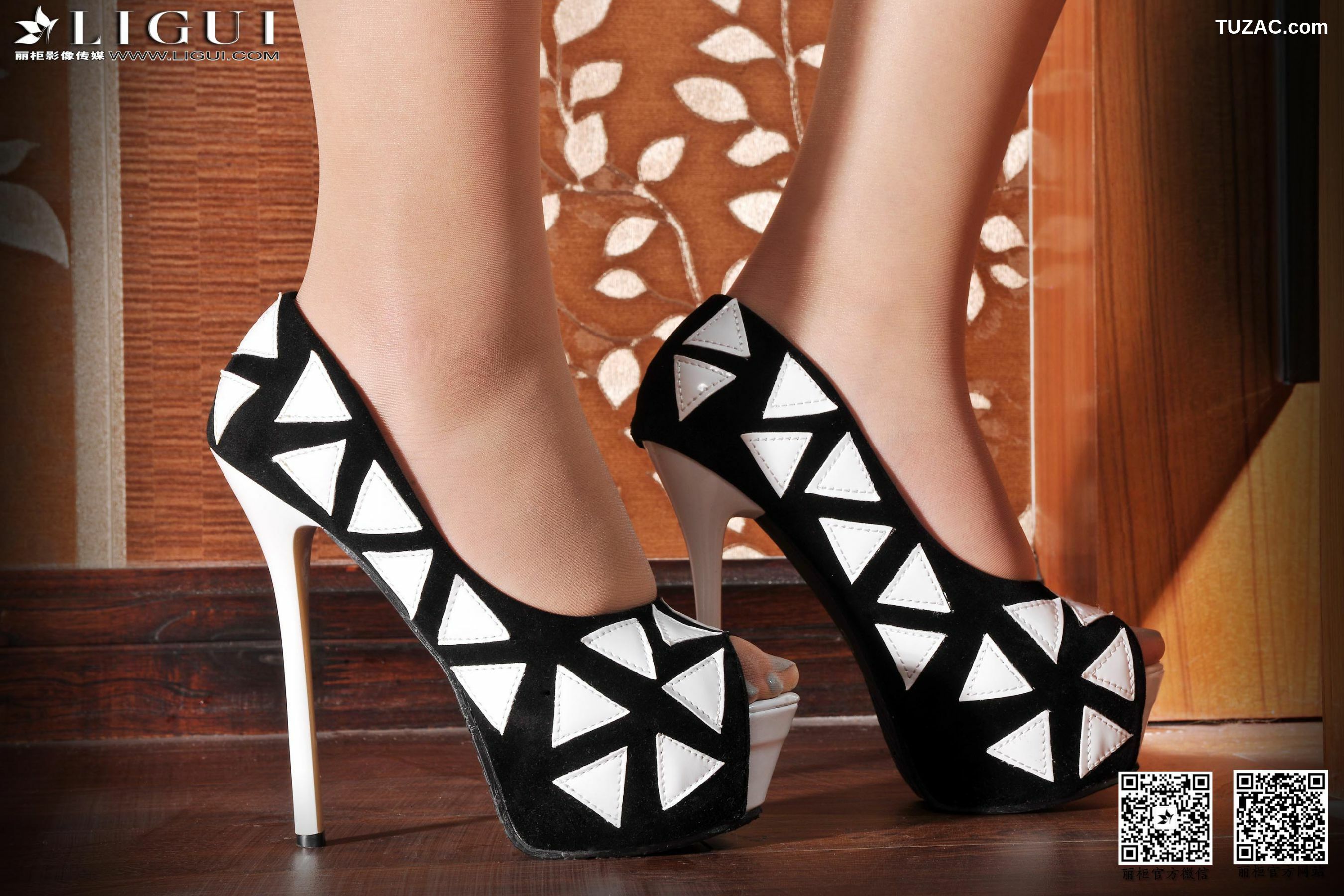 丽柜_Model Amily《极品肉丝袜高跟美足》上中下全集 美腿玉足写真图片[103P]