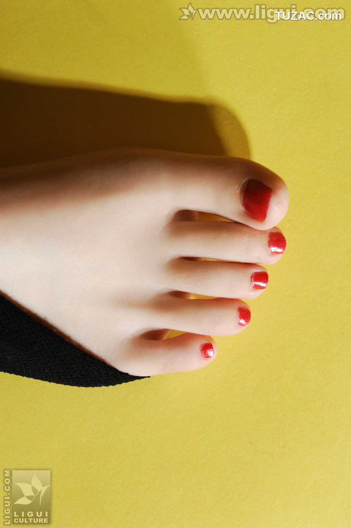 丽柜_Model Vicky《与小熊玩偶之间的黑丝摩登秀》 美腿玉足写真图片[32P]