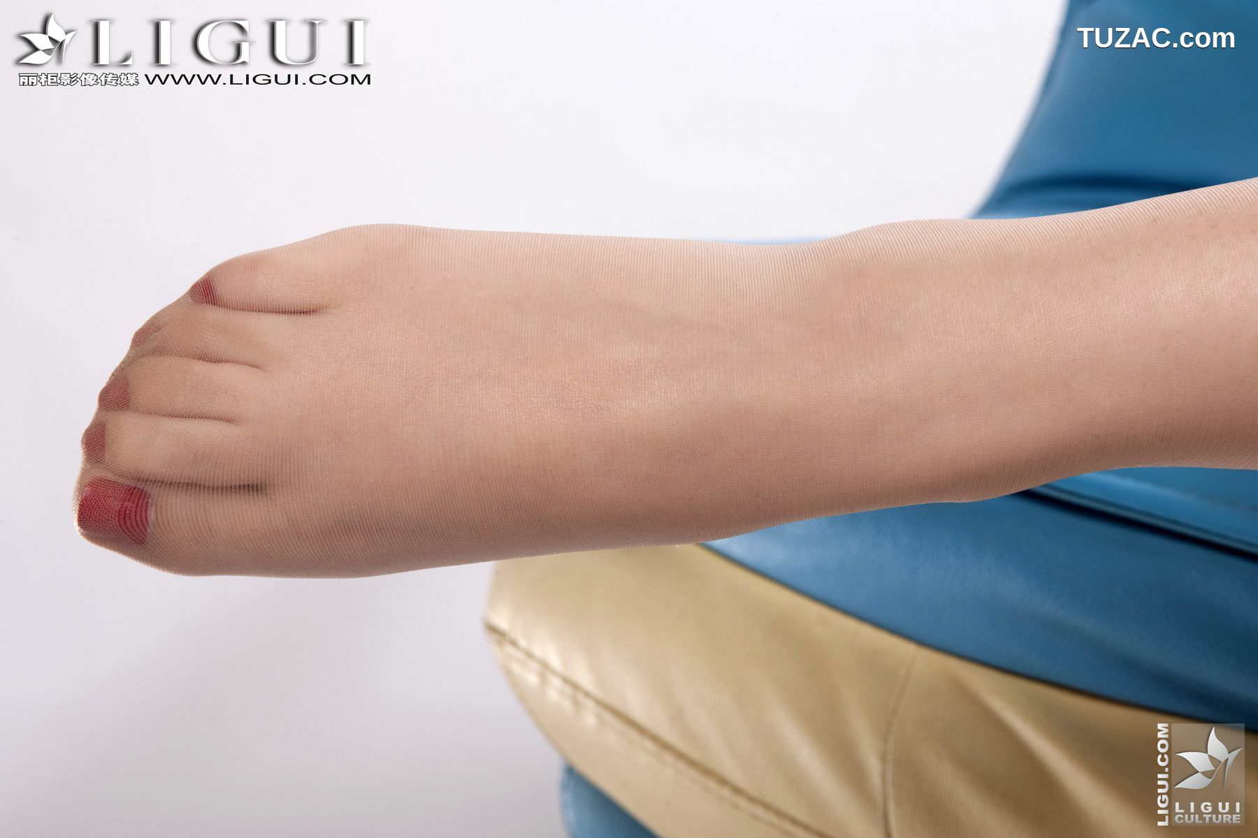 丽柜_Model 乔萌《职业装肉丝高跟美足》 美腿玉足写真图片[76P]