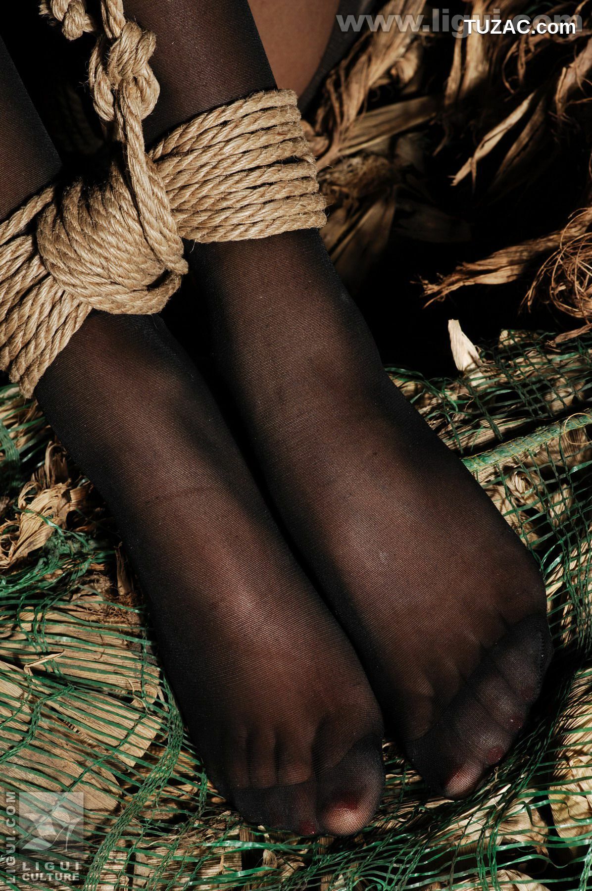 丽柜_Model 伊园《黑丝诱惑捆绑主题》 美腿玉足写真图片[52P]