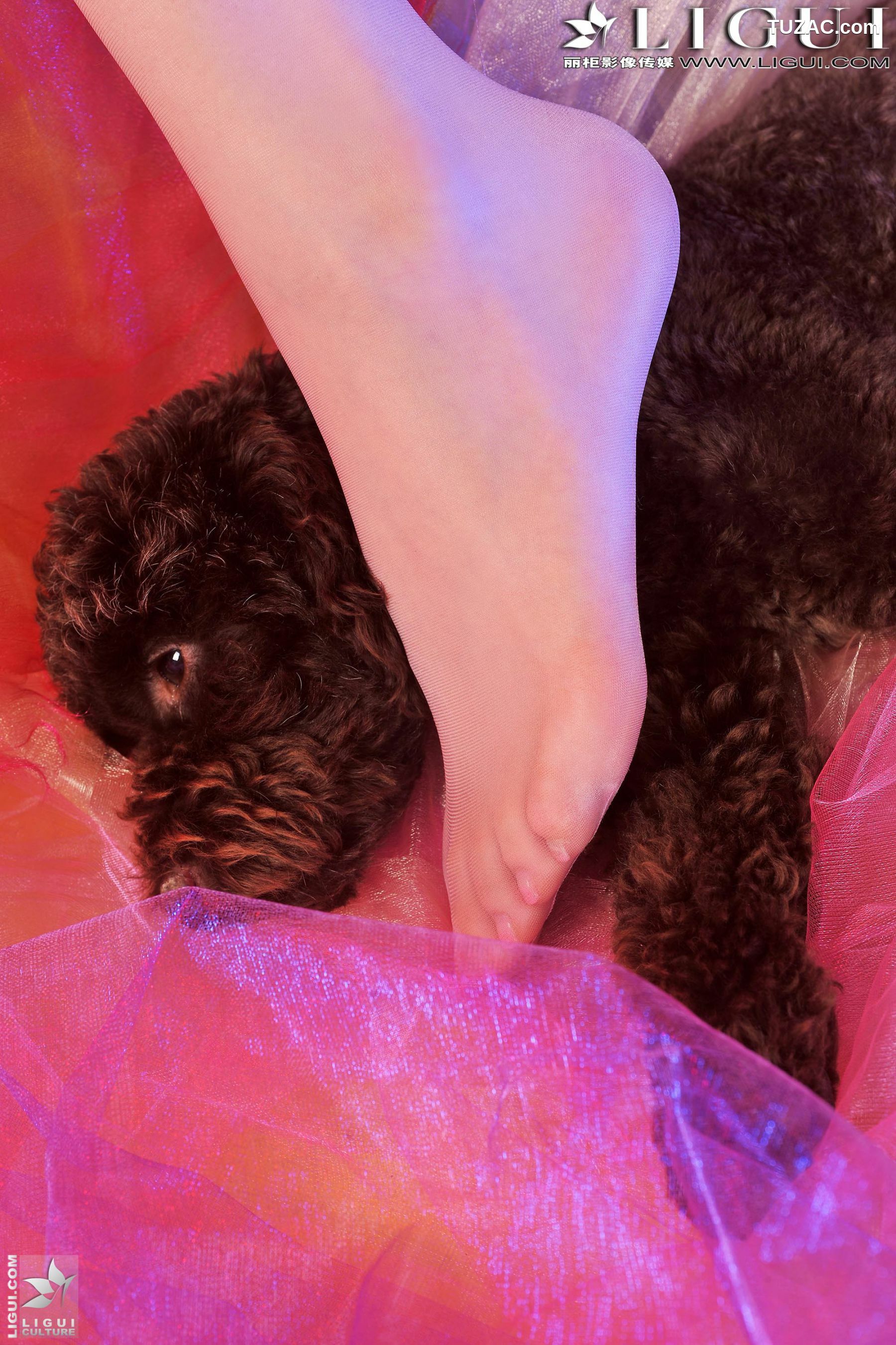 丽柜_Model 美辰《红高跟兔女郎》上下全集 美腿丝足写真图片[83P]