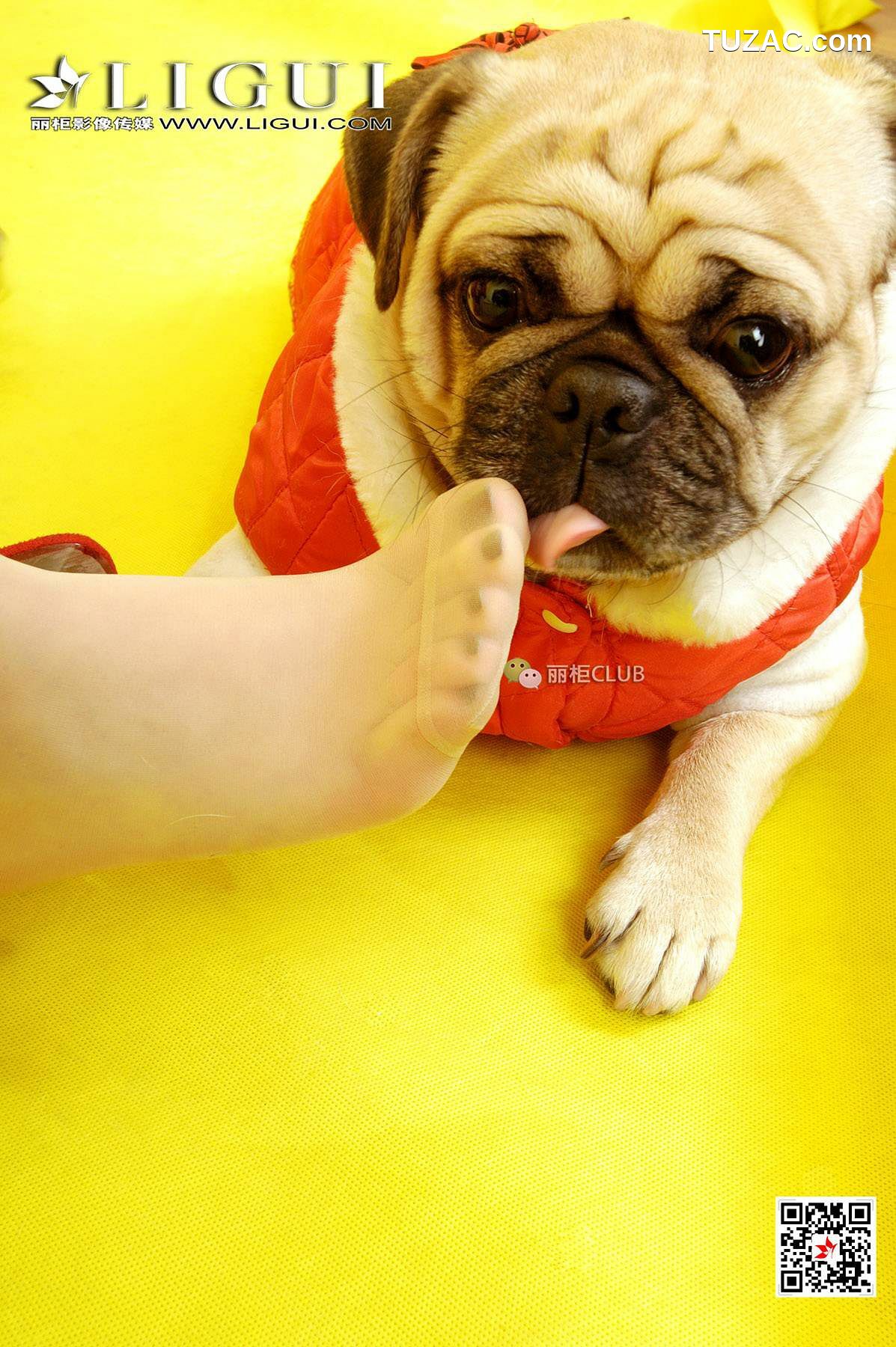 丽柜_璐璐《新春丝足》 网络丽人 写真集[51P]