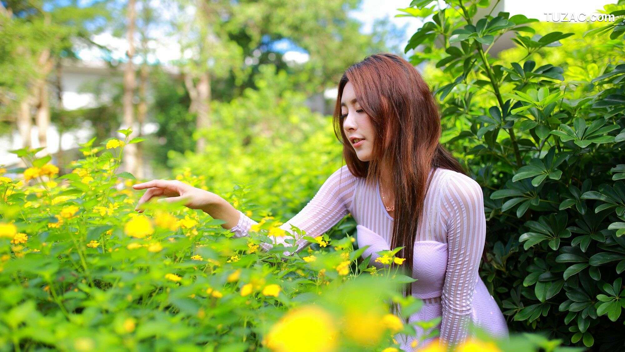 台湾正妹_ Miso夏晴 - 清新街拍 写真集[51P]